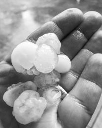 Hagel Gutachten KFZ Timo Siponen GTS